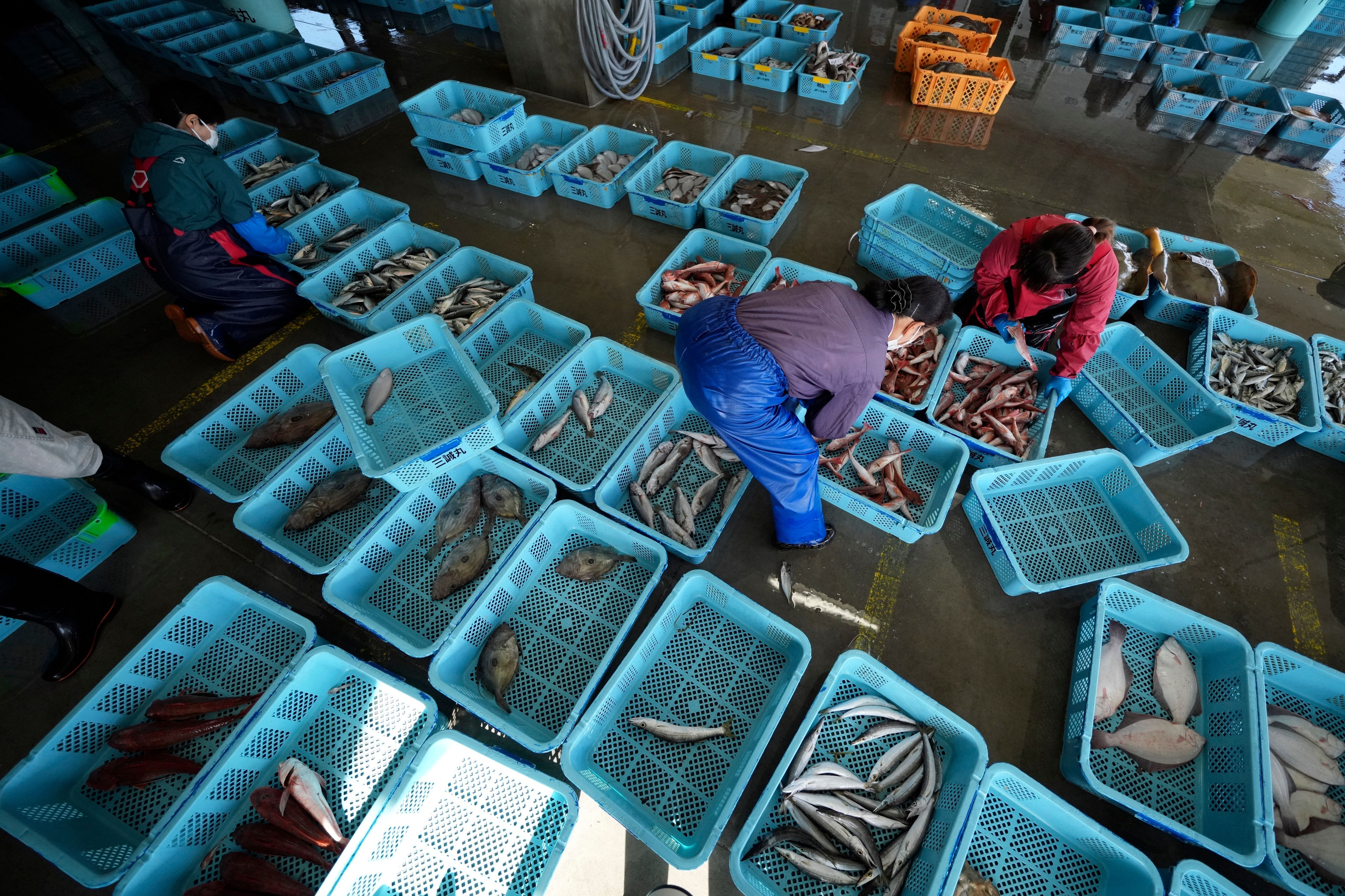 China to Resume Japanese Seafood Imports After Fukushima Water Discharge Concerns