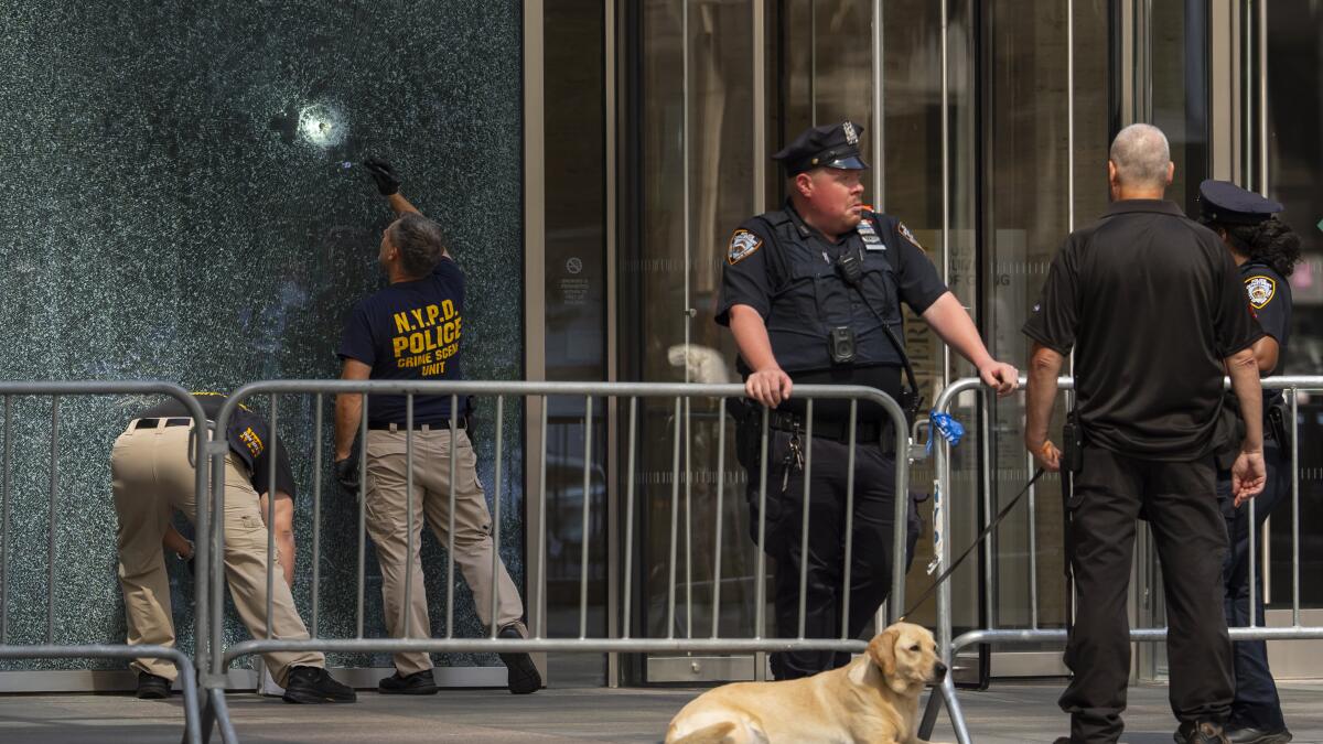 New York Gunman, Ex-L.A. Football Player, Leaves Note: 'Study My Brain'