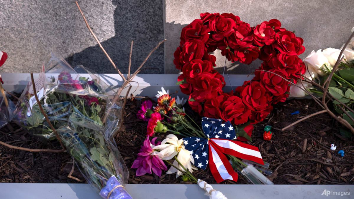 Afghan Suspect in Washington DC Guard Shooting Likely Radicalized in US; Vetting Process Sparks Fierce Political Debate