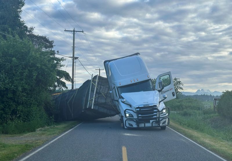 Truck Overturns in Washington State, Unleashing Millions of Honeybees Near Lynden
