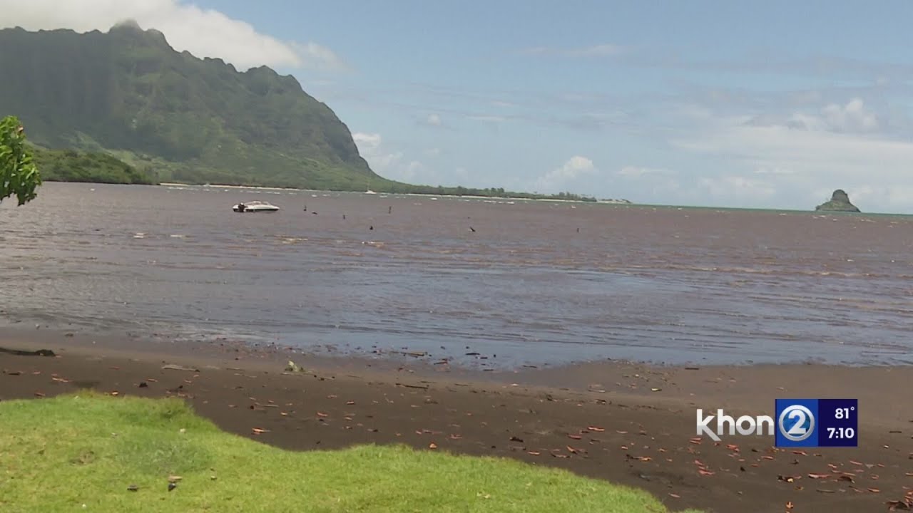 Hawaii Beaches Ranked Among Most Polluted in the US: Report