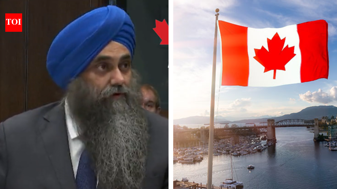 Canada's Tim Uppal Faces Backlash Over Deportation Comments
