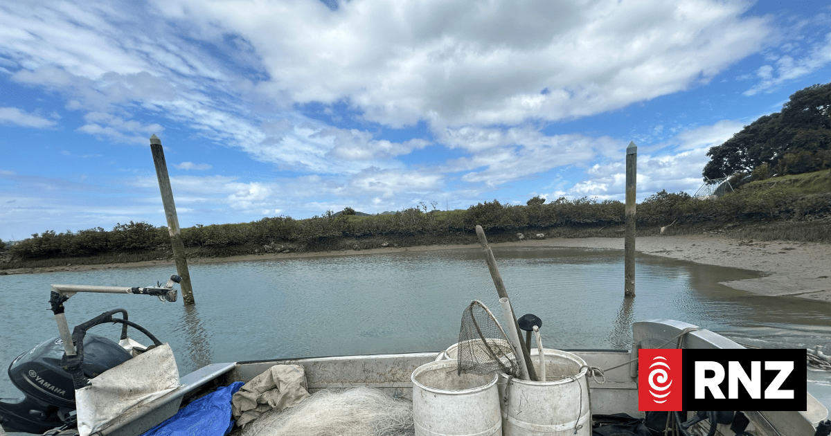 National Party Backflips on Ring-Net Fishing Policy in Hauraki Gulf