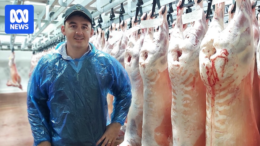 Tasmanian Lamb Exporter Faces $800k Weekly Losses Amid Middle East Shutdown