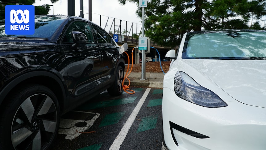 China Bans Hidden Car Door Handles Over Safety Concerns