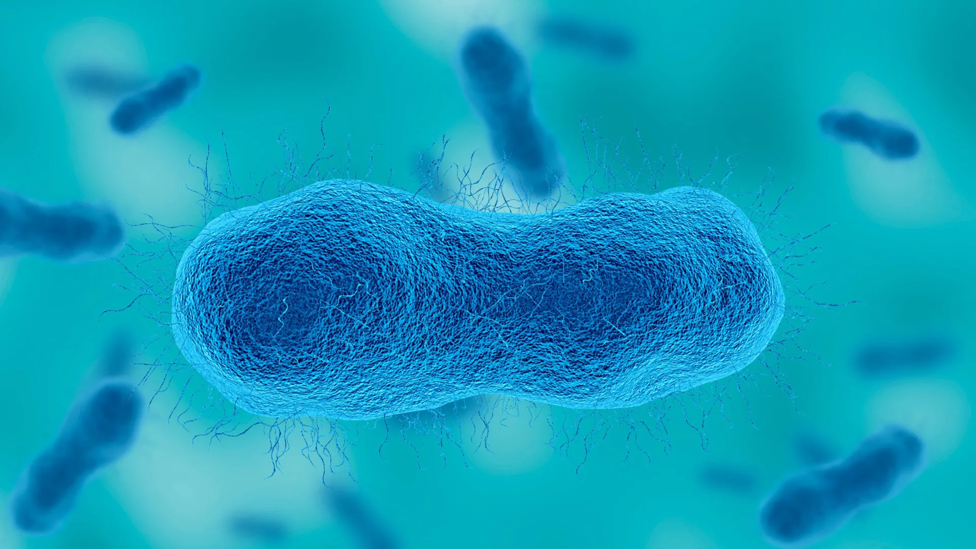 Sugar Discovery Could Combat Deadly Superbugs