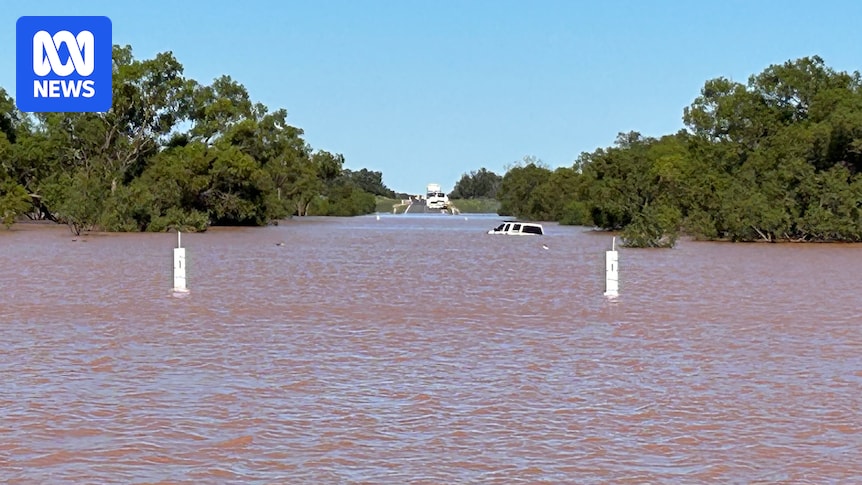 Vehicles submerged in NSW floodwaters