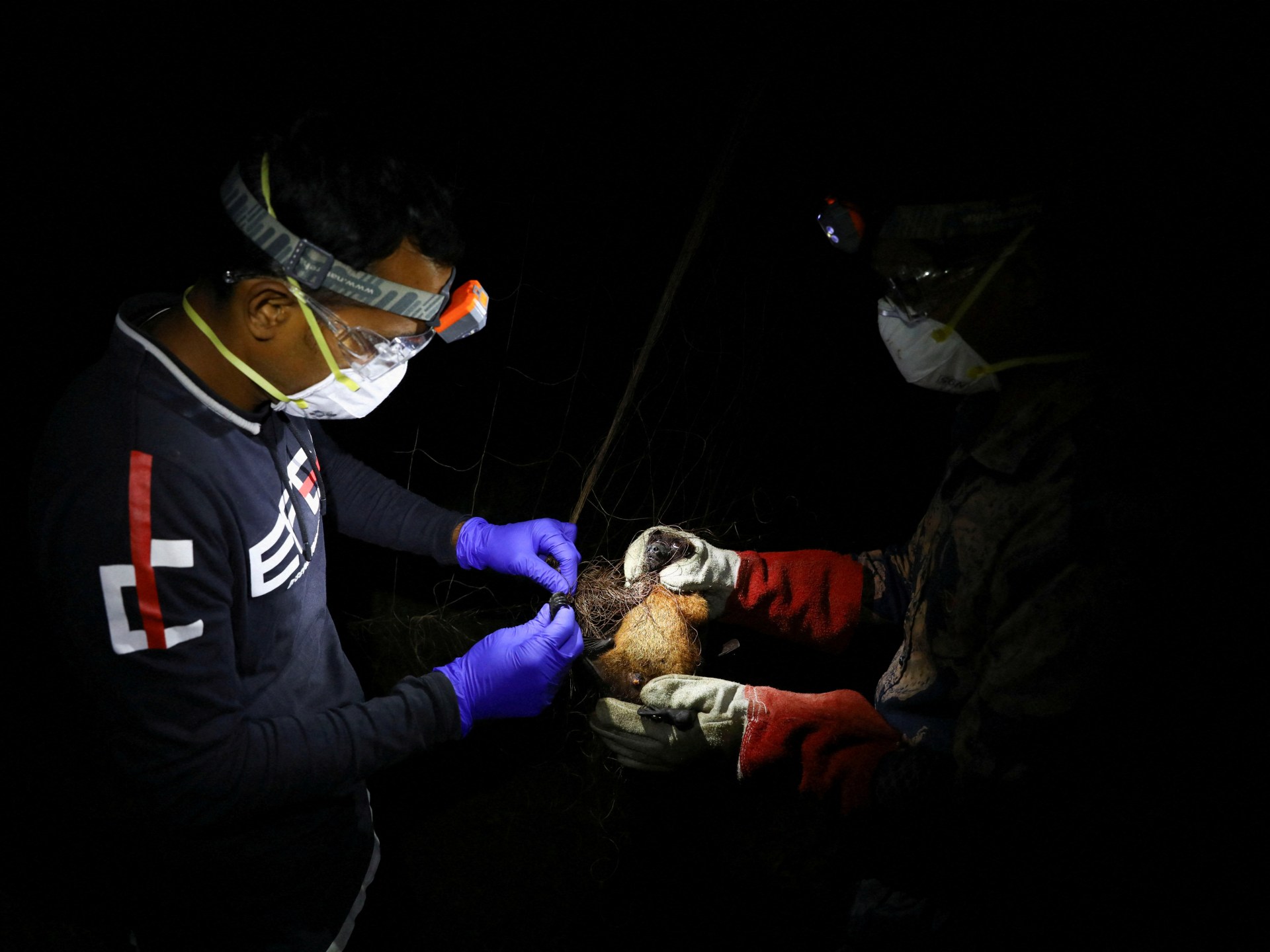 WHO confirms fatal Nipah virus case in Bangladesh