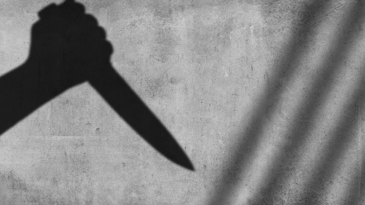 Eight Stabbed in Russia Including an Indian