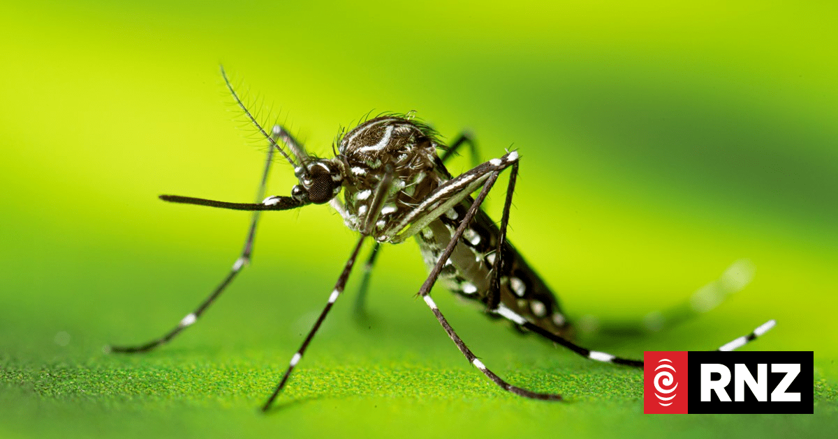 Cook Islands reports first dengue death amid outbreak
