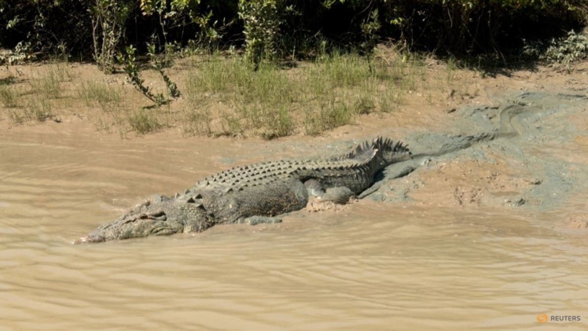Residents Warned of Crocodiles After North Australia Floods