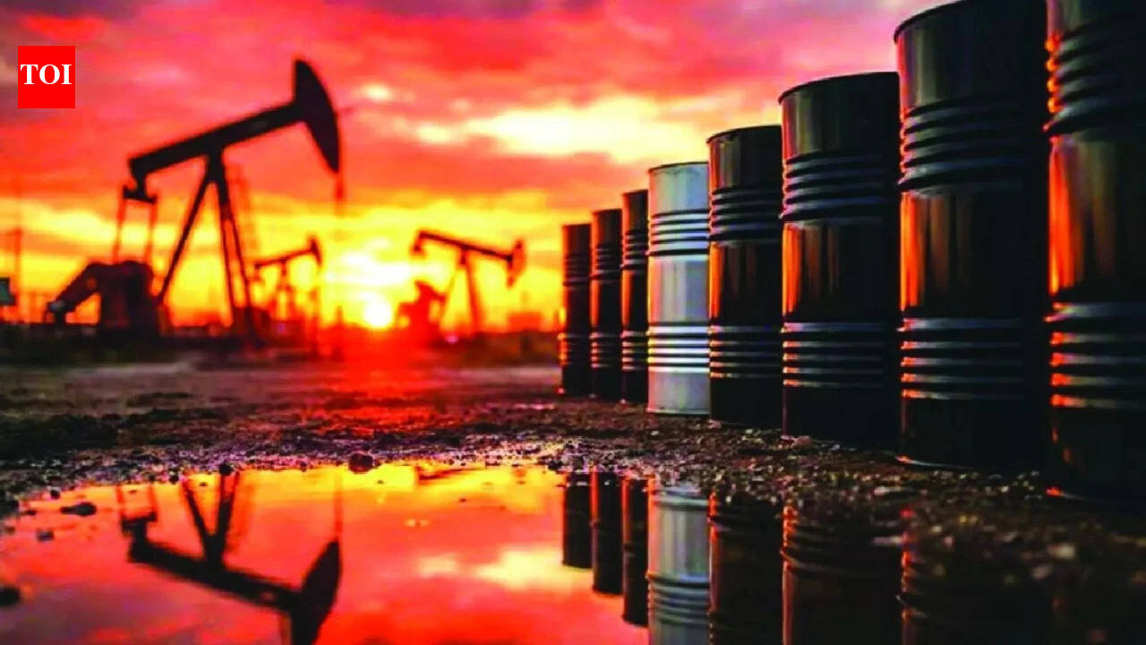 UAE Oil Refinery Shutdown Amid Drone Attack and Global Energy Crisis