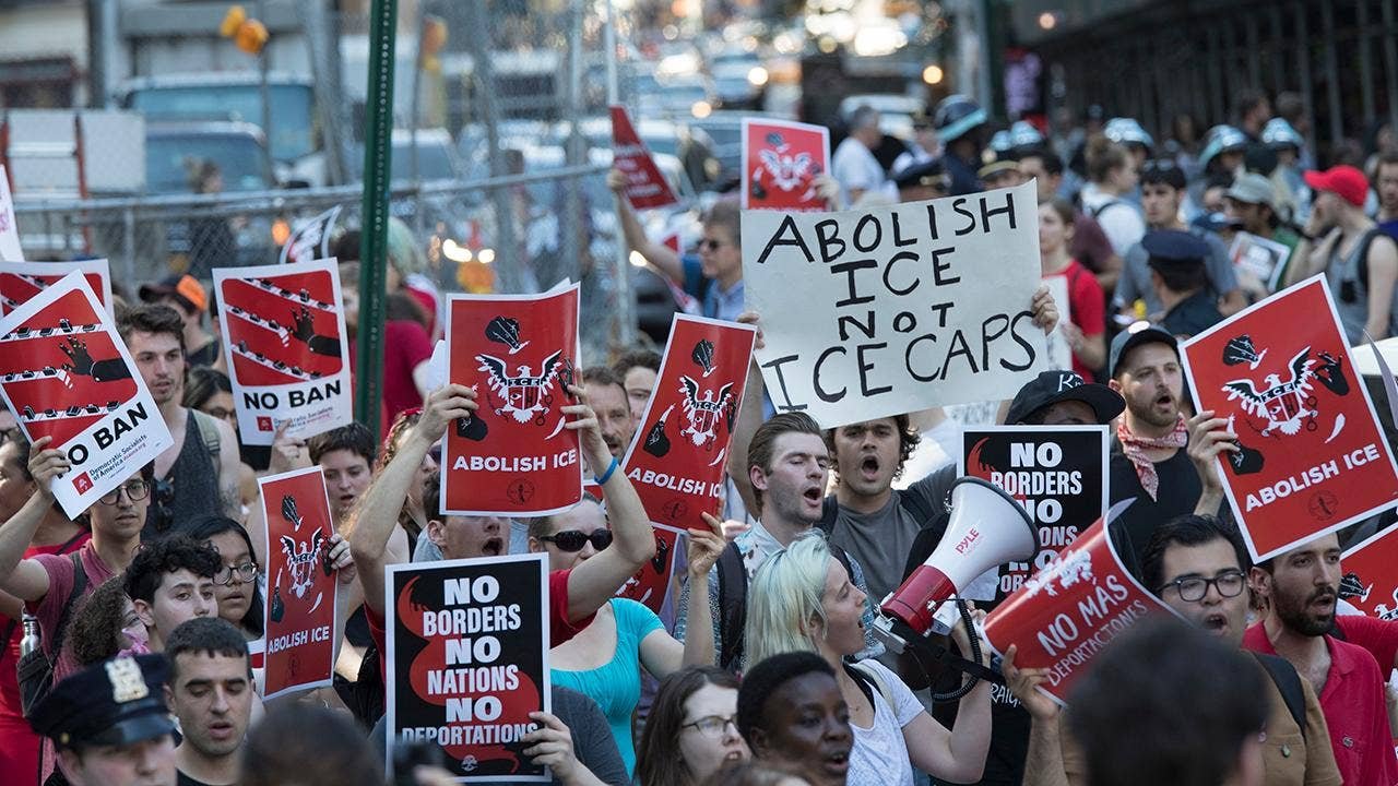 Congress Showed ICE Leaders Images of ICE Brutality: Response Reveals ...