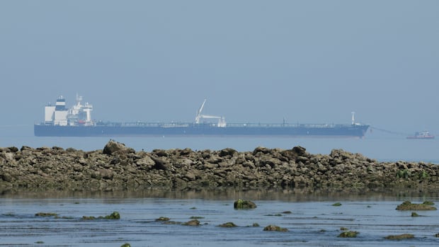 U.S. Exempts Russian Oil from Sanctions Temporarily