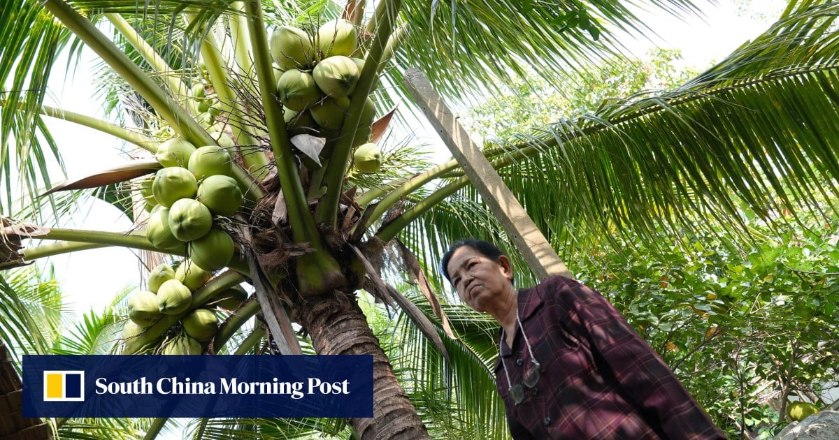 Chinese defence experts vanish online and Thai coconut cartel crisis