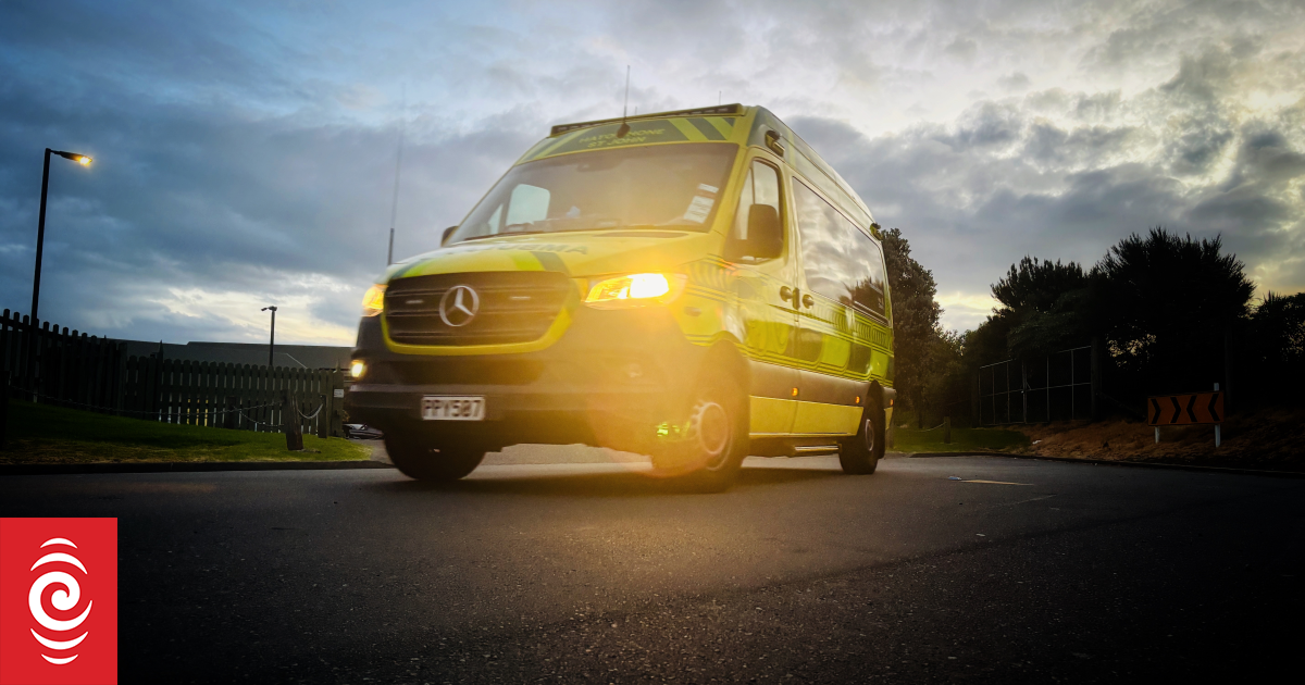 Dogs kill person in Northland, NZ