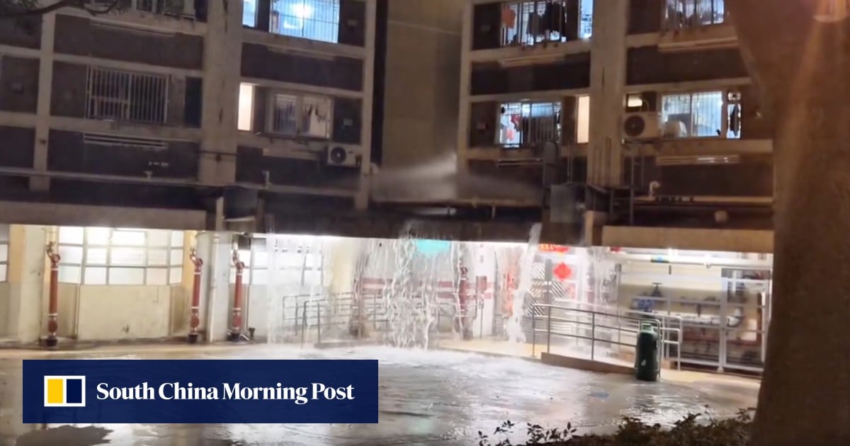 Thousands of Hong Kong households face water disruption during Lunar New Year