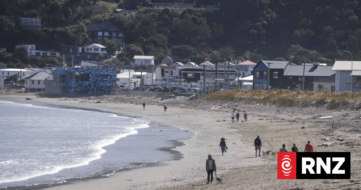 Wellington resident horrified after raw sewage 'exploded' from his toilet