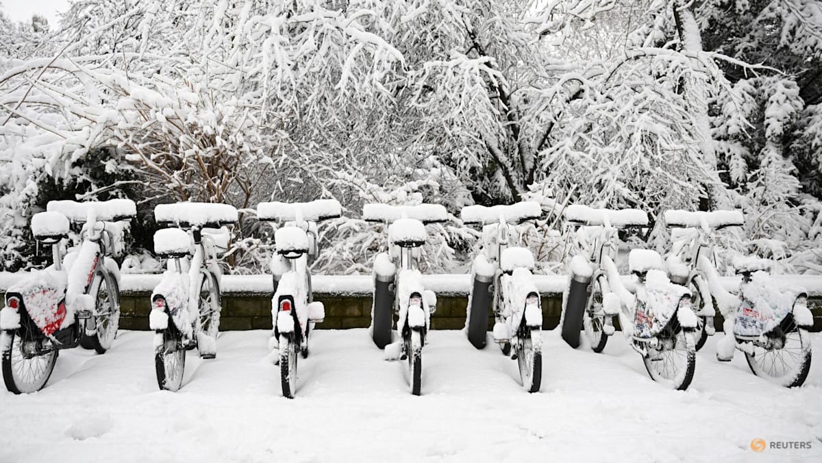 Heavy Snowfall Paralyzes Vienna Airport, Austria