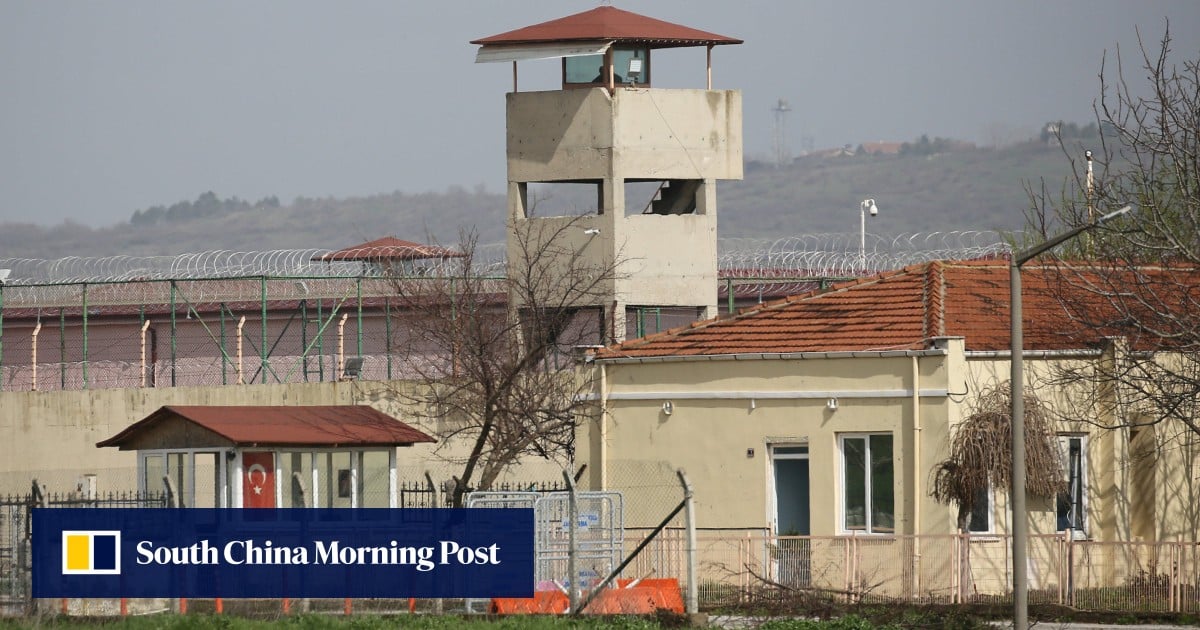 6 European Activists Detained in Turkey While Investigating Prison Conditions