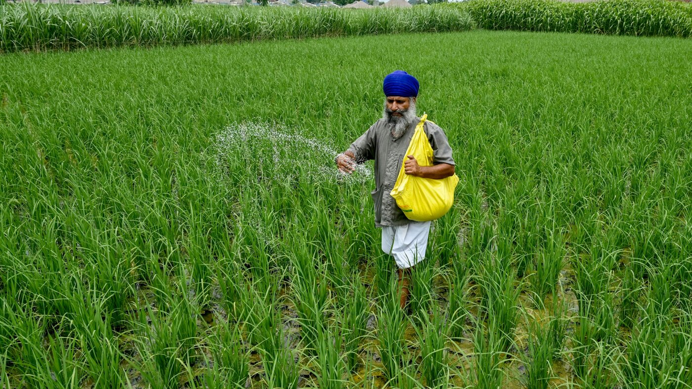 Iran War Threatens Global Food Supply