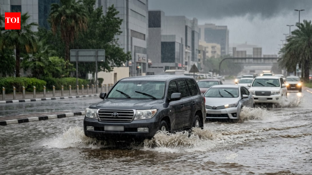 UAE issues strict warnings about flooded valleys with heavy fines and impoundments