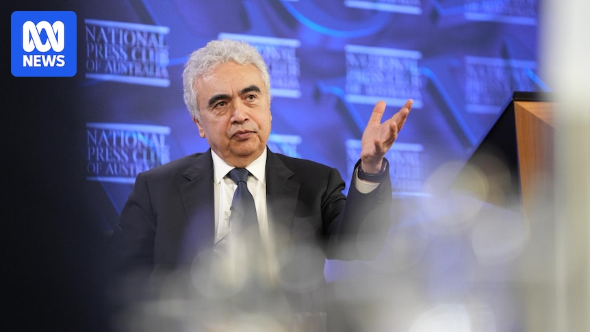World energy watchdog issues stark warning about fuel crisis