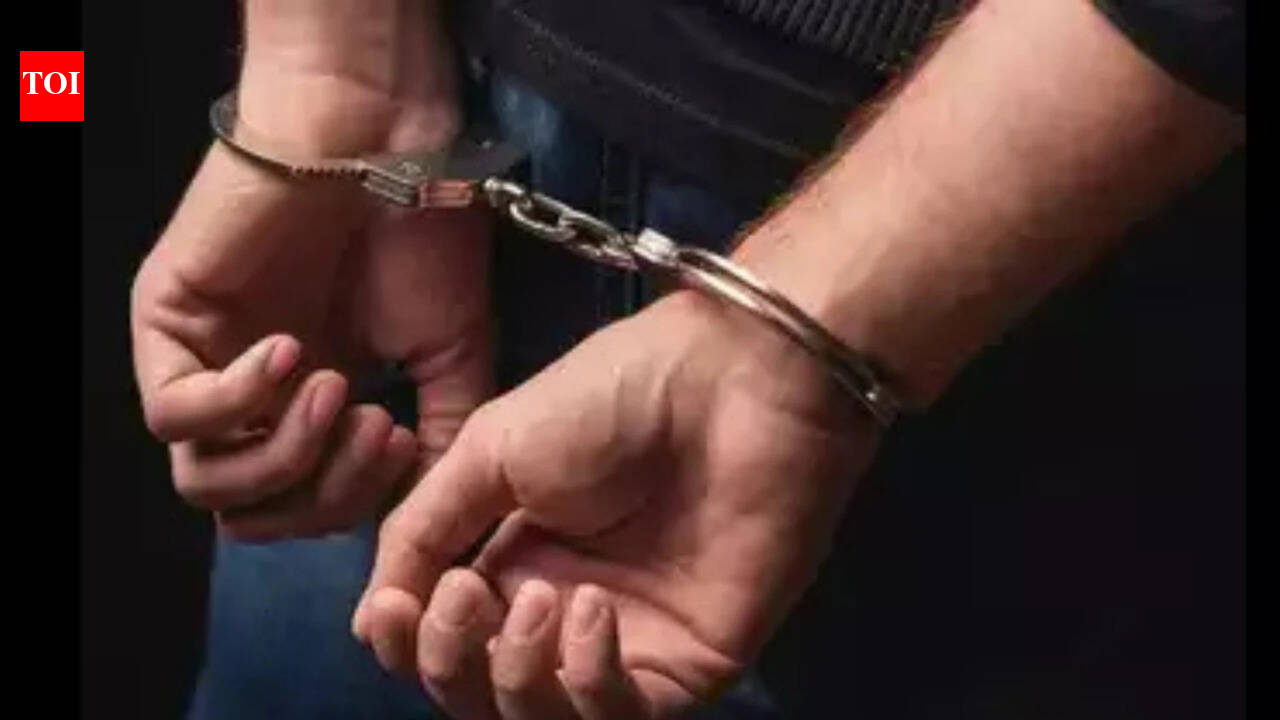 Florida Man Arrested in New York Hit-and-Run That Killed Florida Resident