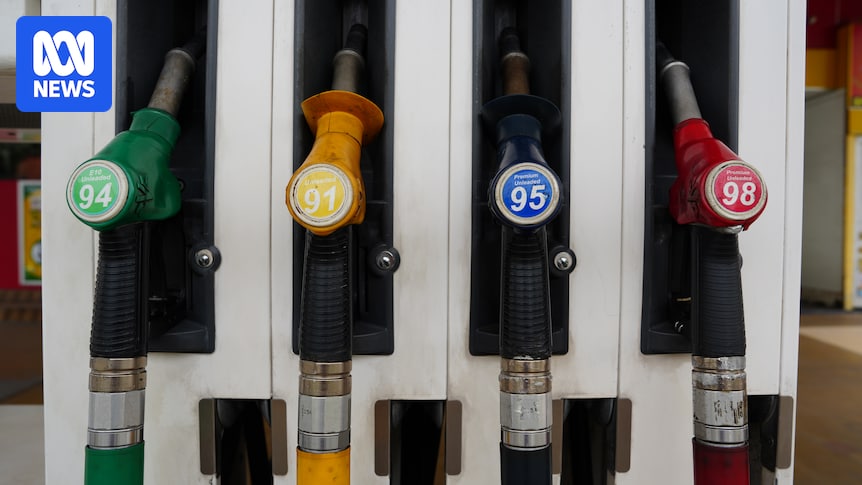 Travel Bookings Cancelled Due to Fuel Crisis