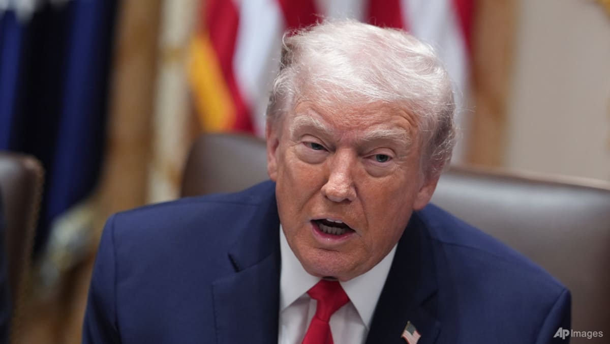 Trump Says Putin Agreed to Halt Attacks on Kyiv for a Week