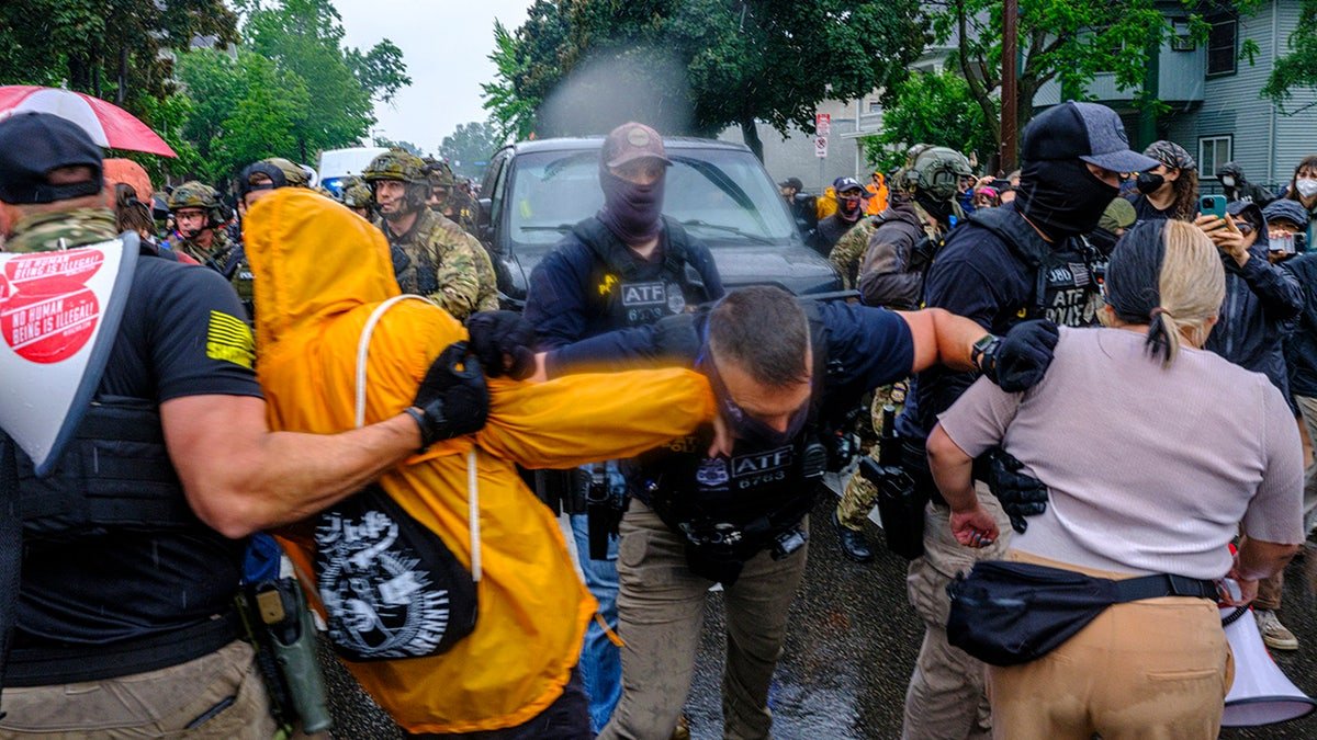 Minneapolis ICE watchers face violence, teargas and arrests: They keep showing up - The Guardian