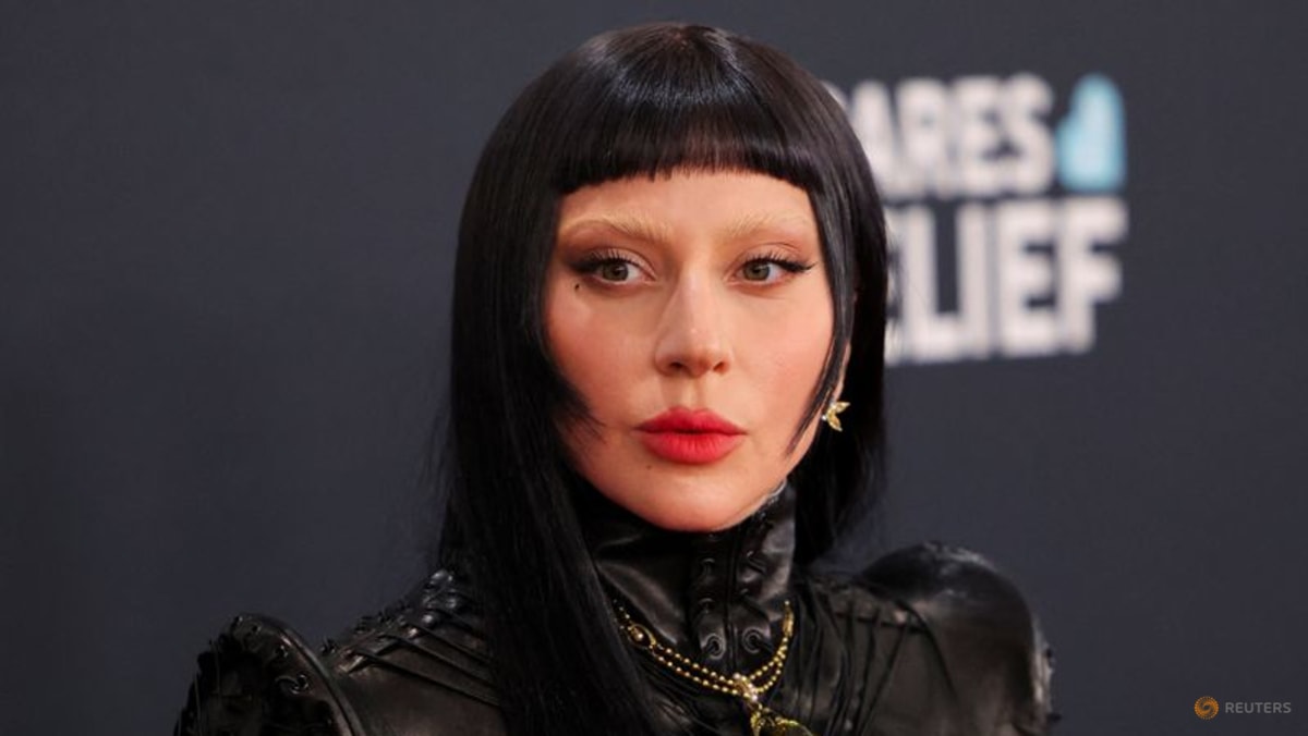 Lady Gaga Halts Tokyo Concert to Criticize ICE