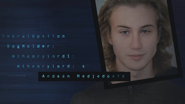 Fake Passports, $65M US, and an Interpol Red Notice: Canadian Crypto Fugitive Vanishes After Arrest in Serbia