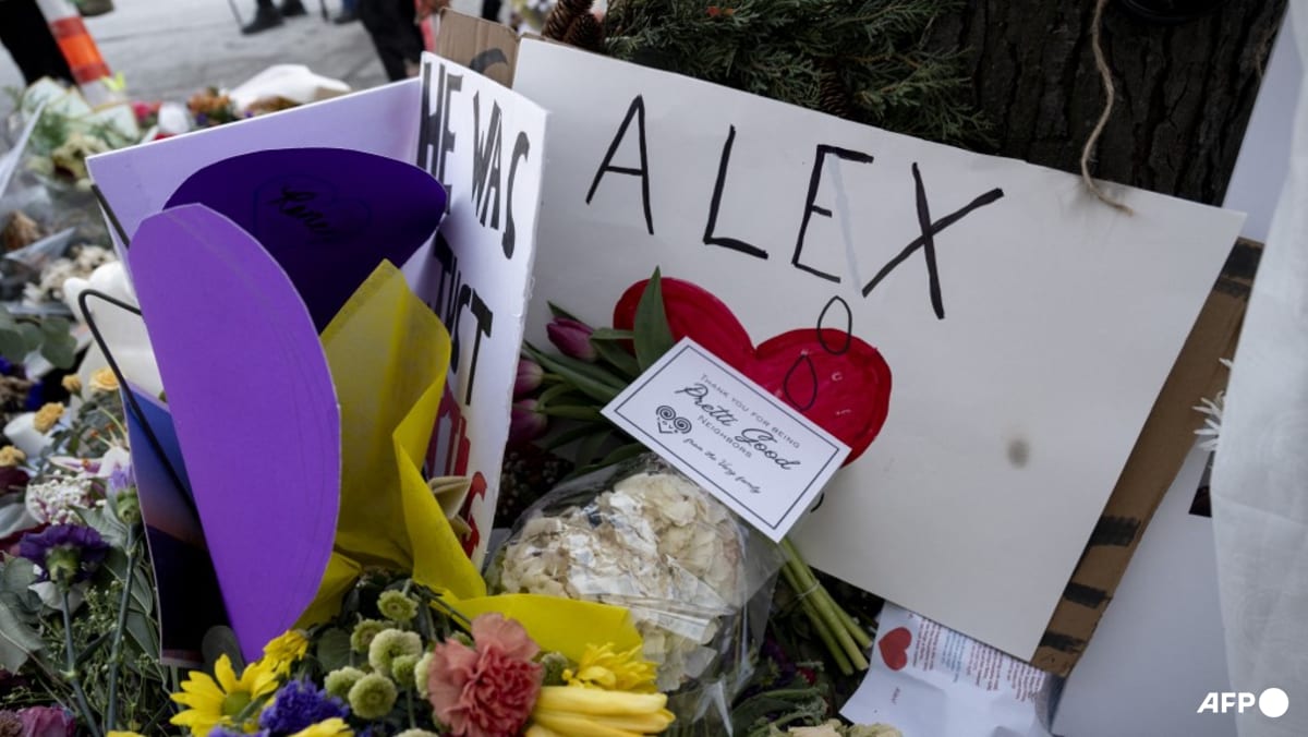 Trump brands Minneapolis nurse shot dead by federal agents an 'agitator'